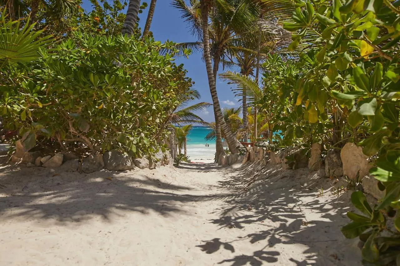 Dos Ceibas Tulum - Massage & Yoga Inclusive location