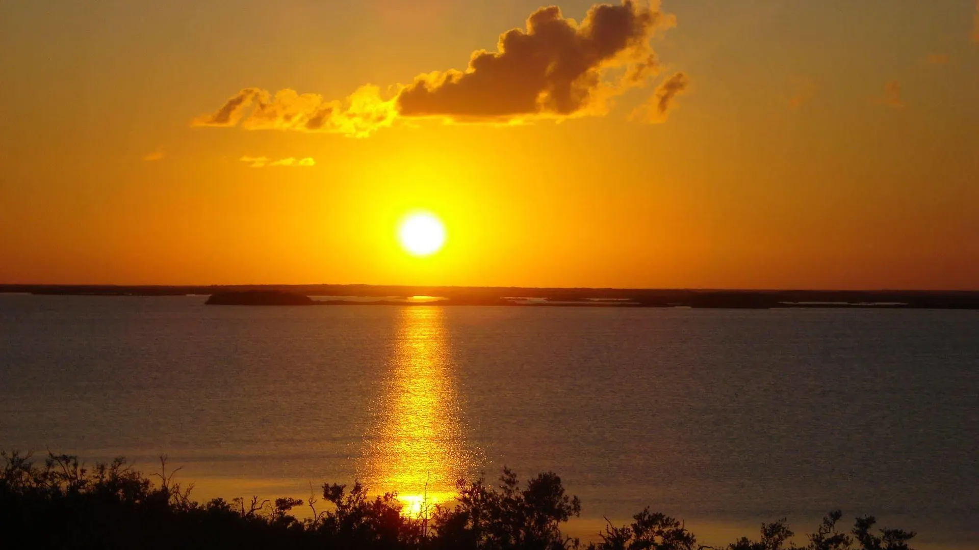 Hotel Dos Ceibas Tulum - Massage & Yoga Inclusive