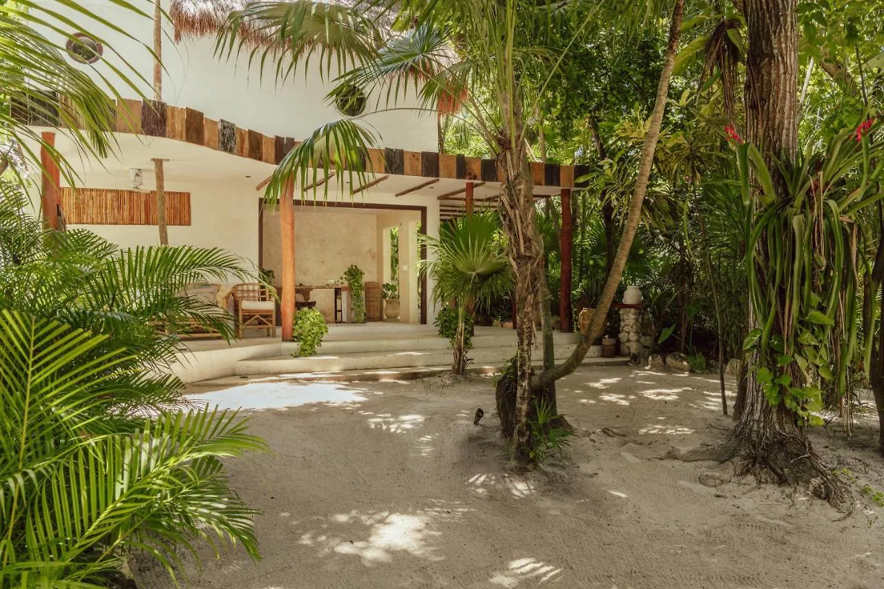 Dos Ceibas Tulum Feel Good Hotel